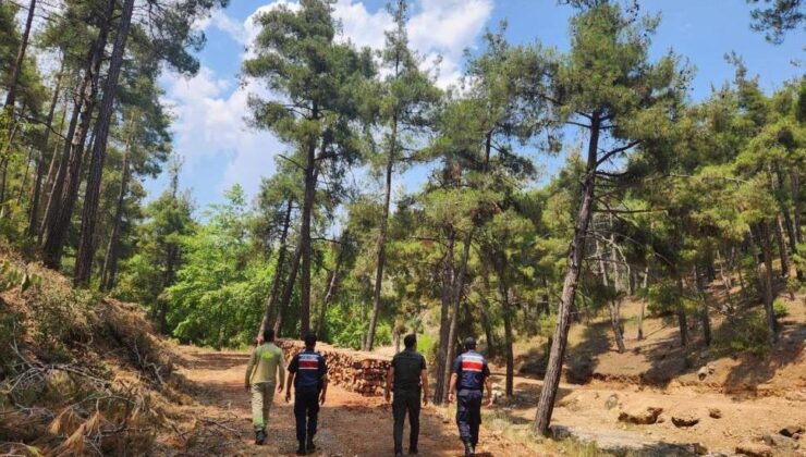 Mersin jandarmasından ormanlara sıkı koruma