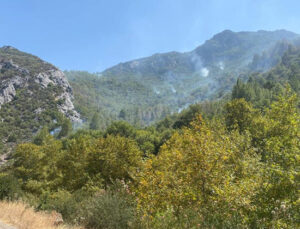 Mersin Anamur’daki orman yangını büyük ölçüde kontrol altına alındı