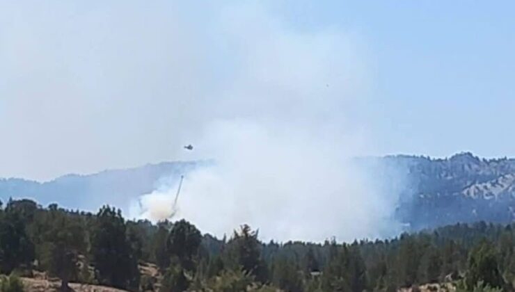 Mersin’de orman yangını !