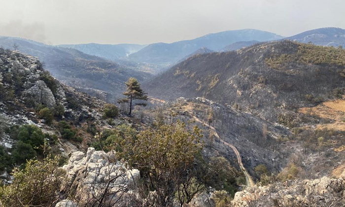 Mersin Silifke’de yangın büyük ölçüde kontrol altına alındı
